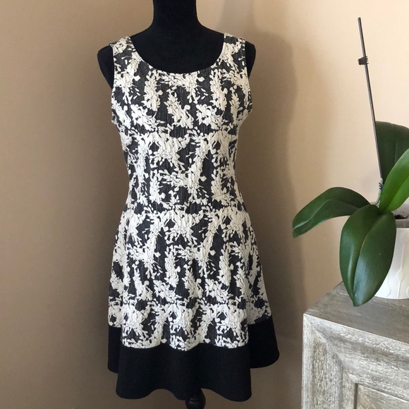 Lelis Dresses & Skirts - Nordstrom Rack Black & white a-line dress